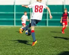 赞佩迪与金,球奖前景被,看好,oubo,Abg,欧博,欧博体育入口,欧博官网,欧博体育APP下载